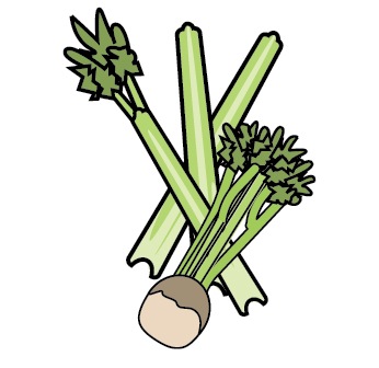 Celery